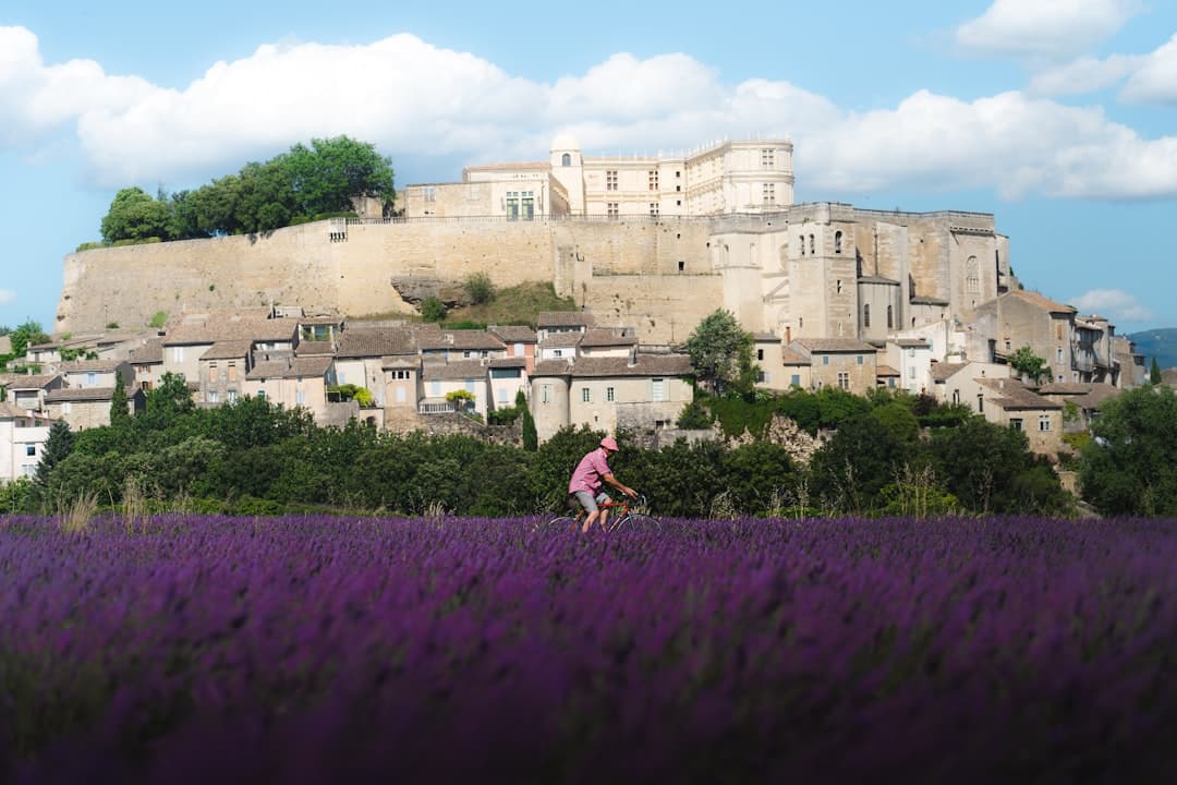 Rowerzysta w rozległym polu lawendy z historyczną wioską Gordes i zamkiem.