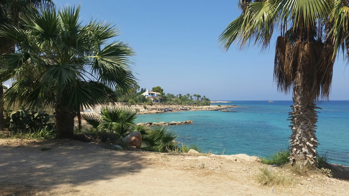 Słoneczna turkusowa zatoka z palmami, piaszczystą plażą i białym domem.