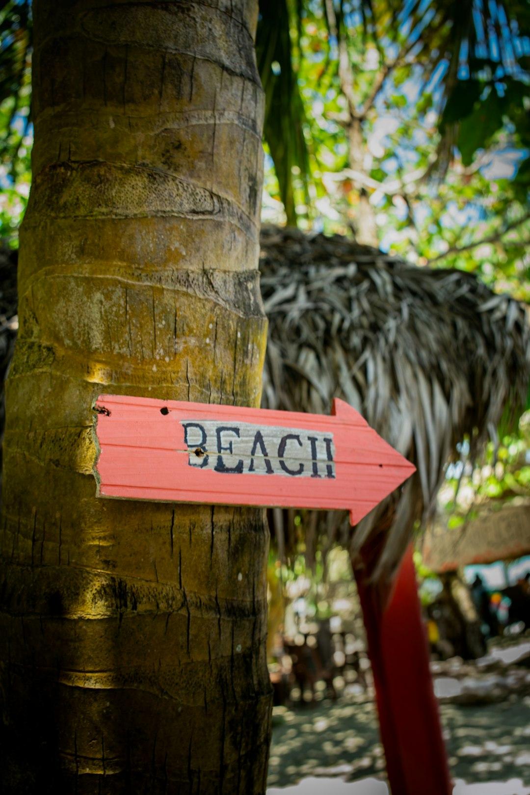 Tropikalna plaża – idealny cel podróży