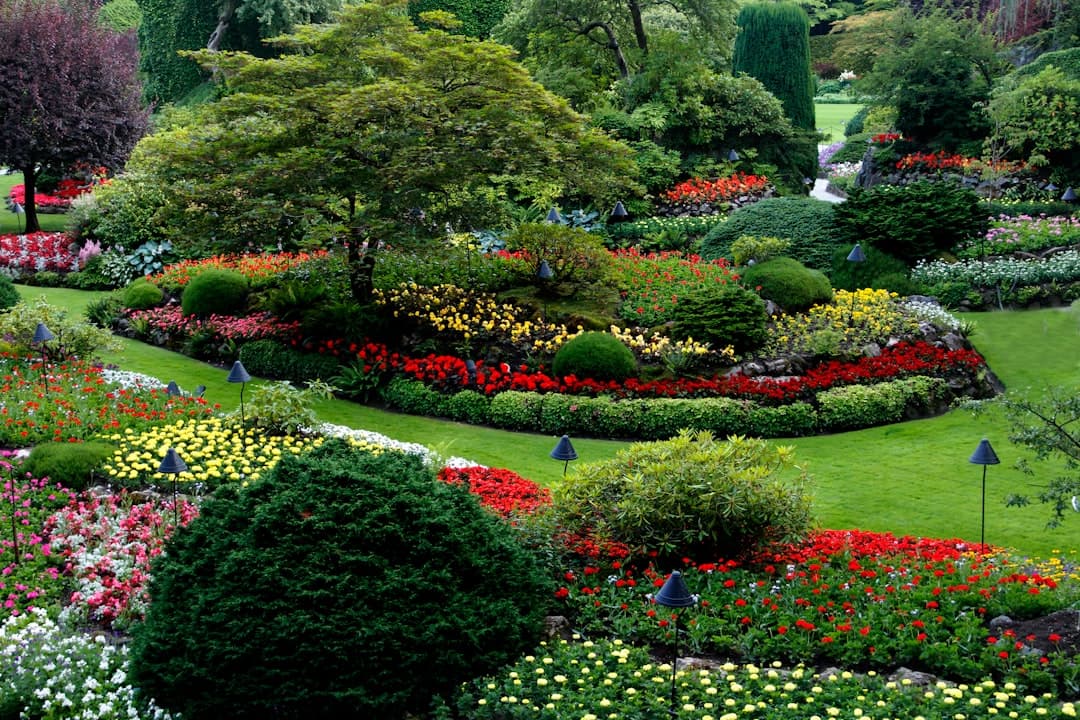 Kwiaty w Ogrodzie Botanicznym w Lund