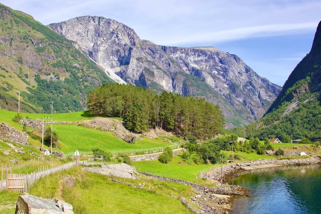Norweski fiord, majestatyczne góry, zielone pola, spokojna woda w słońcu.