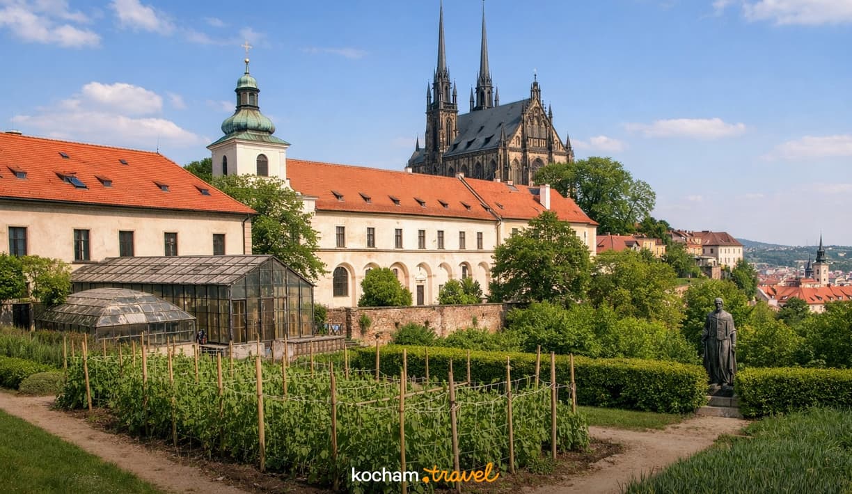 Ilustracja do tematu: City break z Krakowa: Brno - śladami Gregora Mendla i naukowych odkryć w czeskich Morawach.