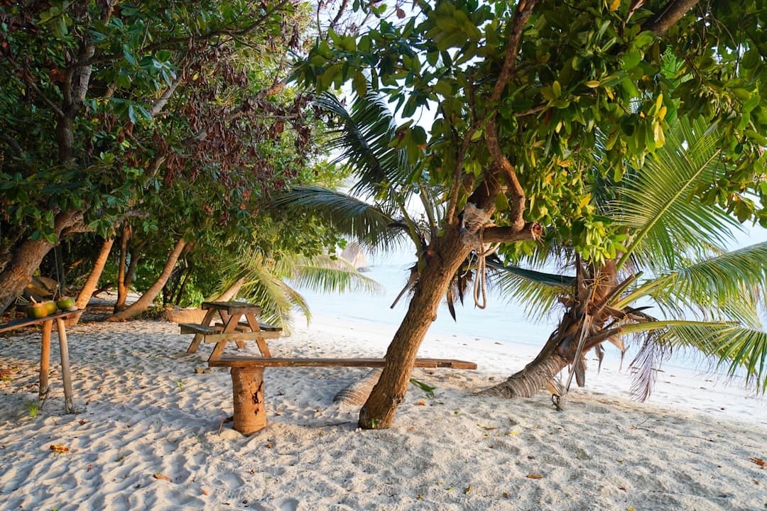 Piaszczysta plaża tropikalna z drzewami, kokosami i drewnianym stołem.