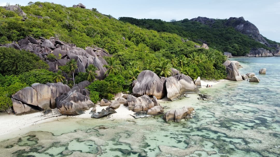 Tropikalna plaża Seszeli z granitowymi skałami, palmami, turkusową wodą.
