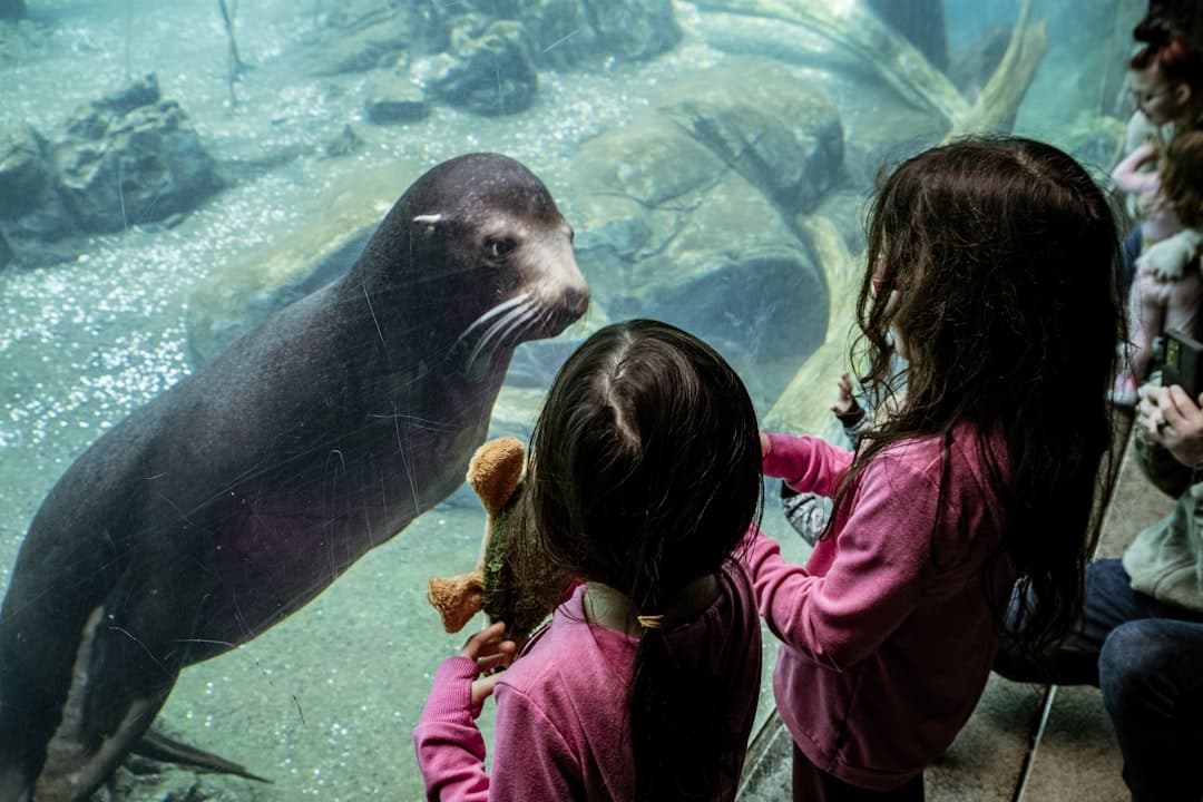 Interaktywne wystawy w Zoo Miami