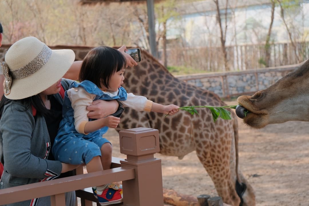 Dzieci karmiące żyrafy w zoo