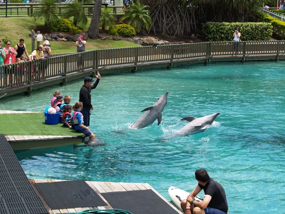 Miami z dziećmi: ZOO, Muzeum Dziecięce i inne atrakcje dla rodzin