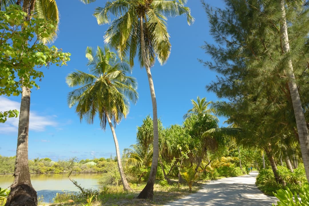 Oceania. Sporty wodne na Aitutaki: Nurkowanie, kitesurfing i kajaki w sercu Polinezji