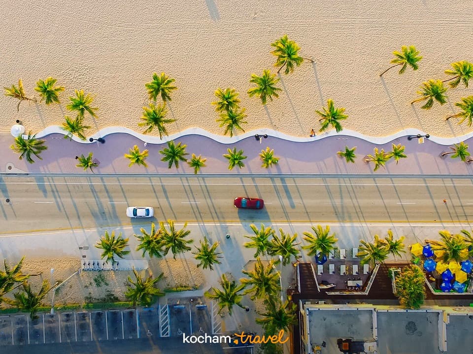 Słoneczny widok z góry na piaszczystą plażę, palmy i nadmorską drogę.