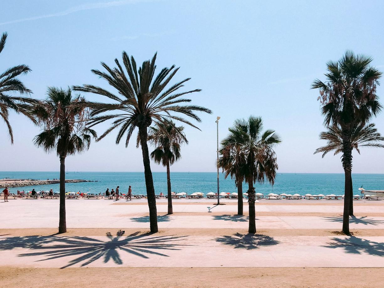 Barcelona dla aktywnych: Bieganie po promenadzie i wzgórze Montjuïc