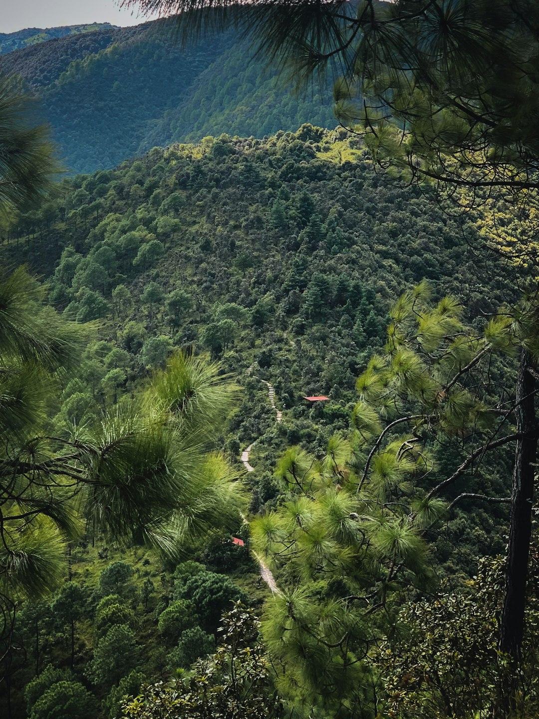 Wędrówki po Rarotonga