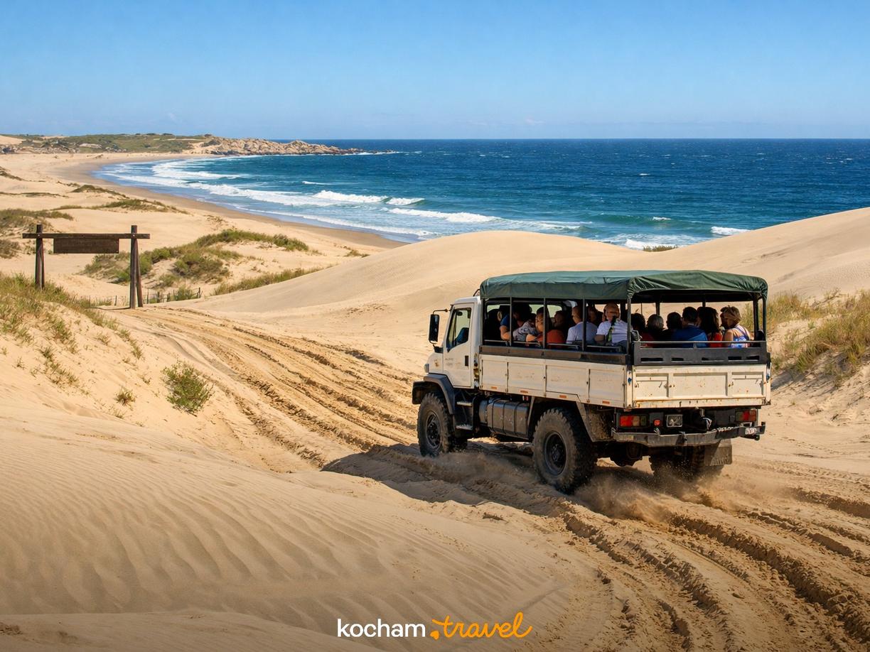 Transport do Cabo Polonio – Jak dotrzeć i za ile? w Cabo Polonio