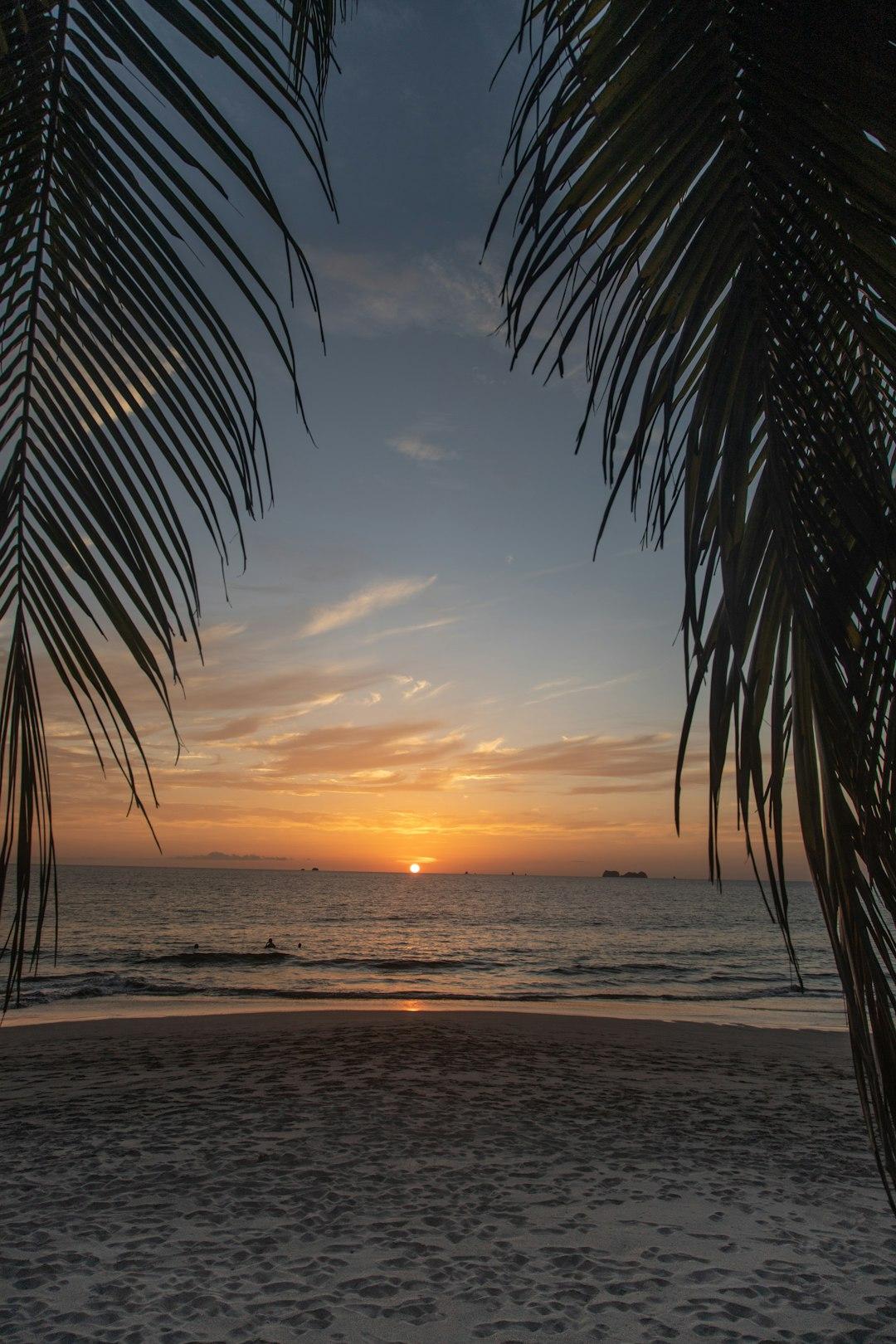 Złoty zachód słońca nad oceanem, piaszczysta plaża i liście palm.