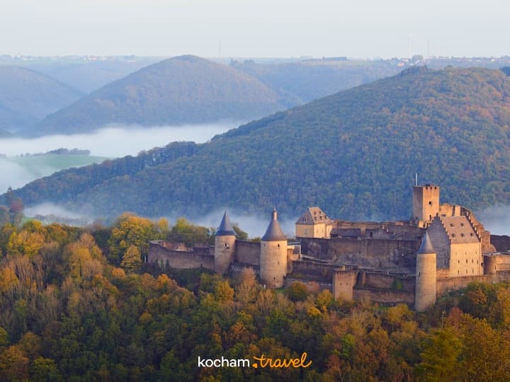 Panoramiczny widok na historyczny zamek otoczony jesiennymi lasami i mgłą.