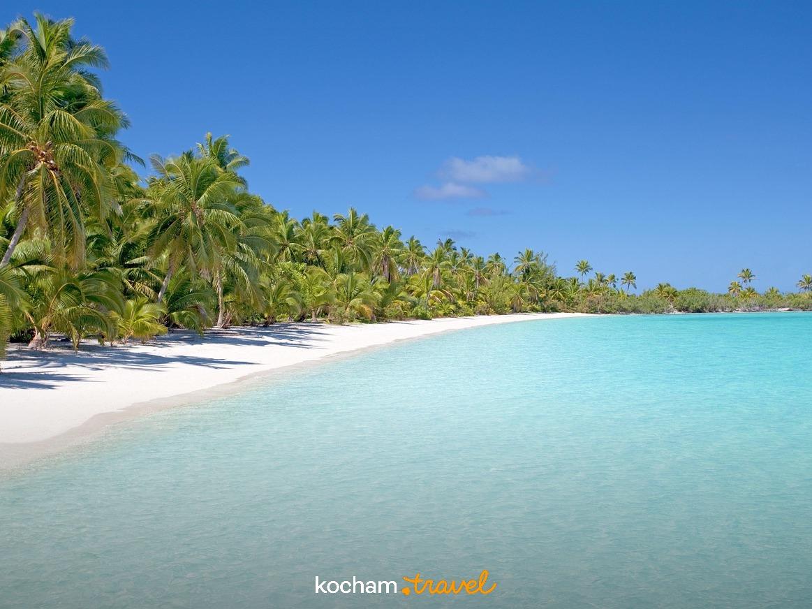 Rajska tropikalna plaża z palmami i krystalicznie czystą turkusową wodą.