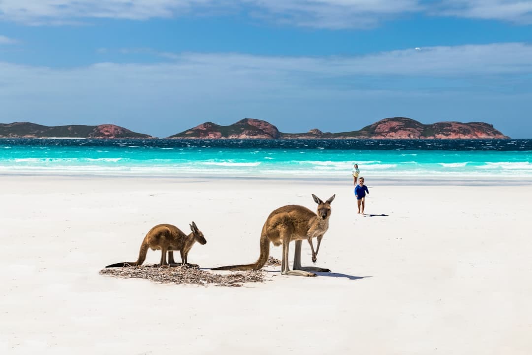 Malownicze krajobrazy Australii