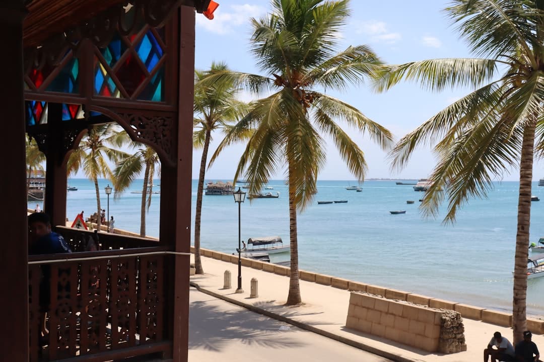 Sceniczne widoki podczas jazdy wynajętym samochodem na Zanzibarze