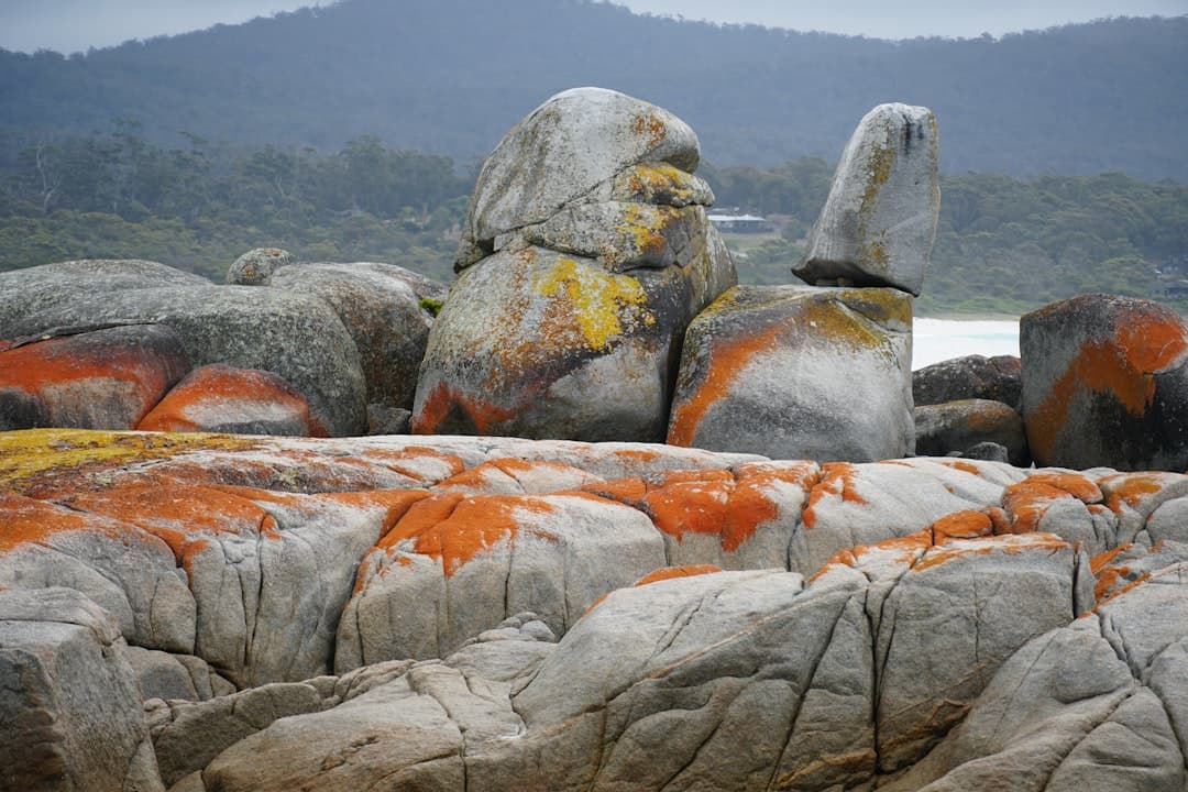 Formacje skalne Hin Ta i Hin Yai na Koh Samui