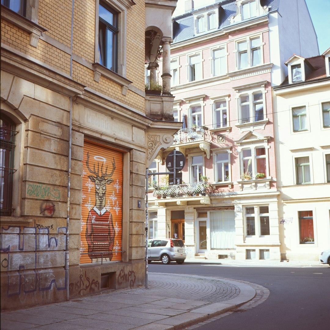 Europejski zakątek uliczny z graffiti jelenia na pomarańczowej roletach sklepu.