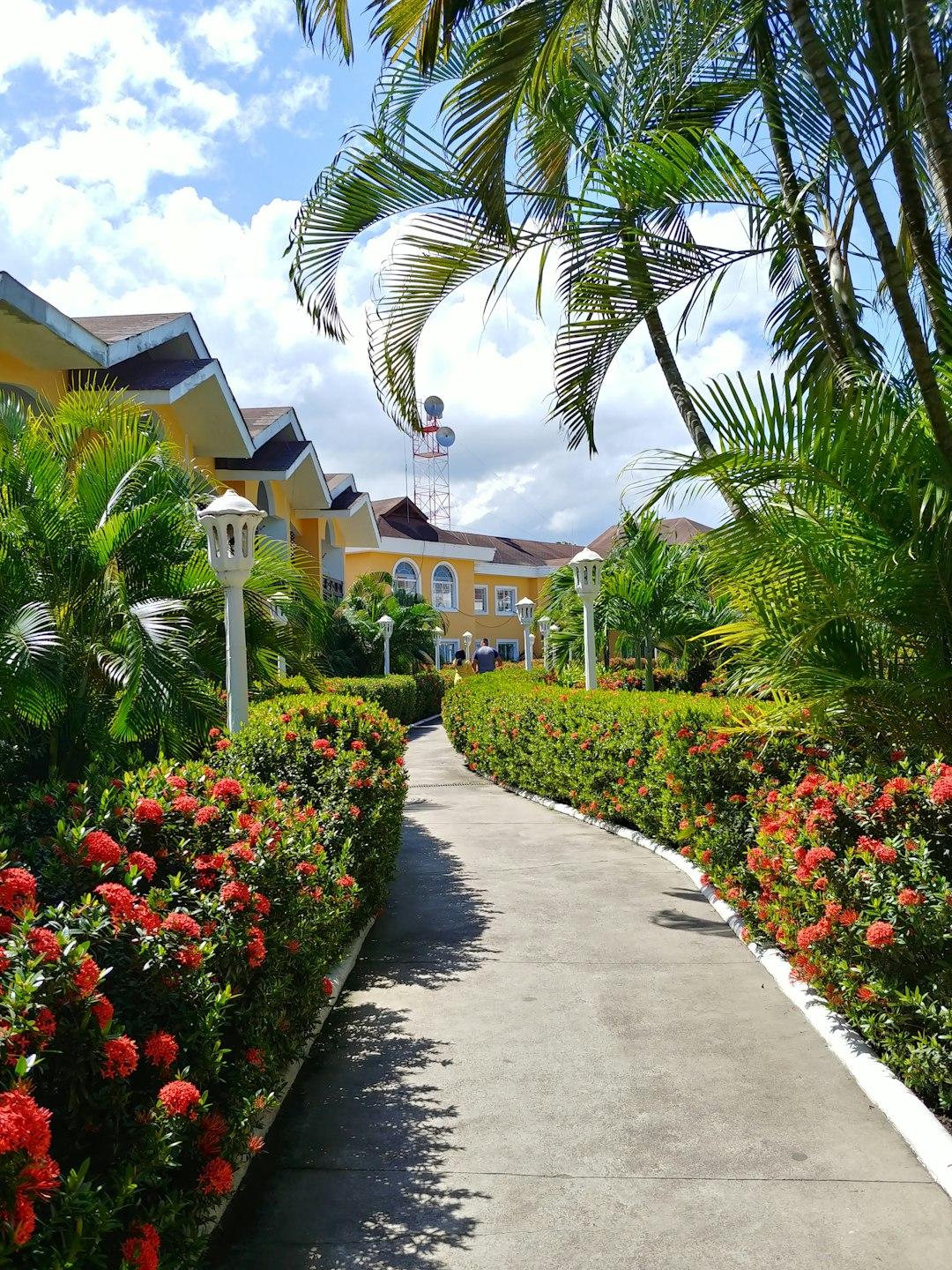 Urokliwy Cozy Resort w Matara