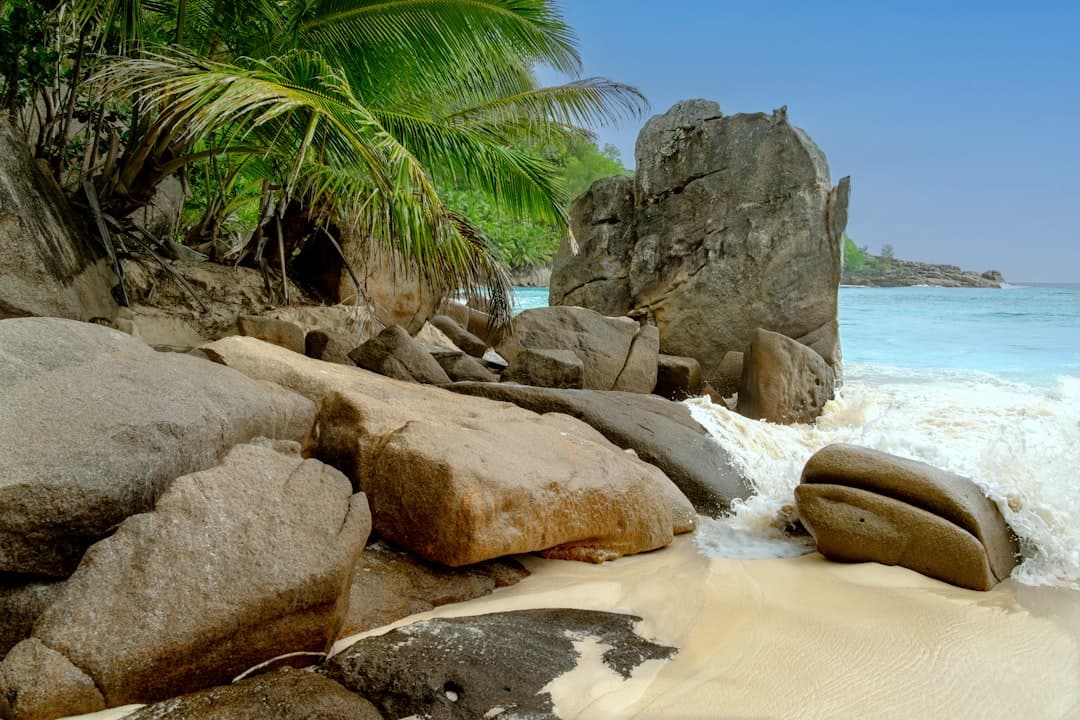 Tropikalna plaża z granitowymi skałami, palmami i turkusowymi falami oceanu.