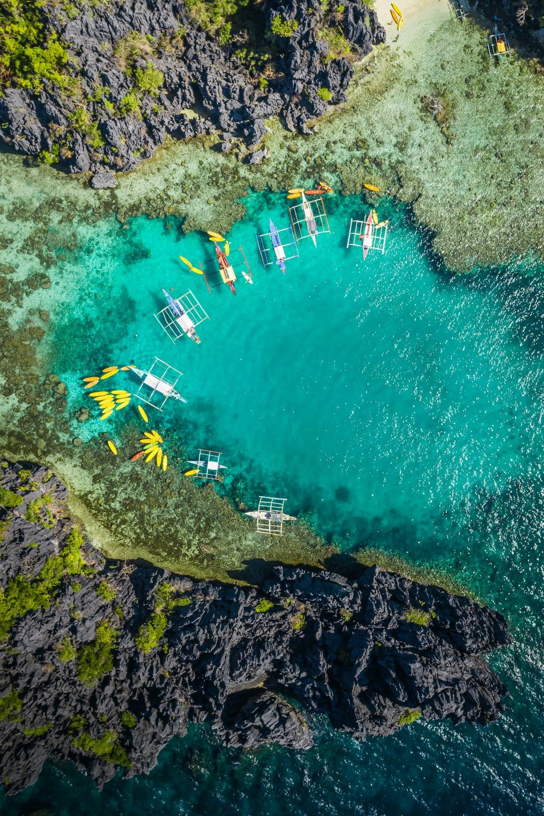 Nurkowanie i snurkowanie na Bora Bora: Gdzie znaleźć najlepsze podwodne ogrody?
