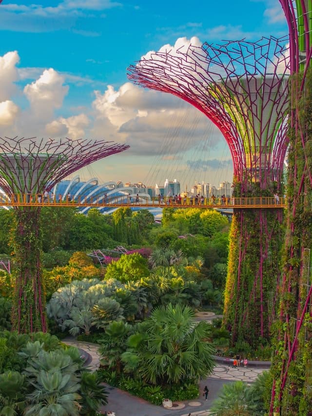 Gardens by the Bay w Singapurze z iluminacjami