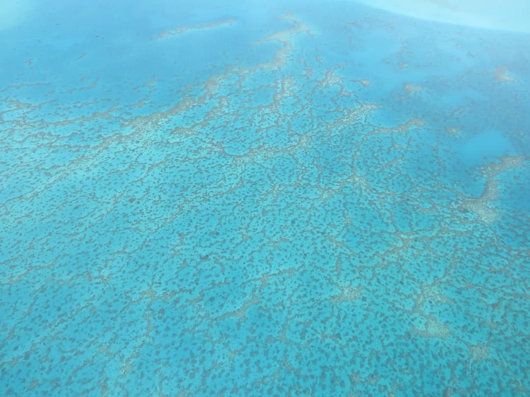 Turkusowa woda oceanu z widoczną pod powierzchnią rafą koralową.
