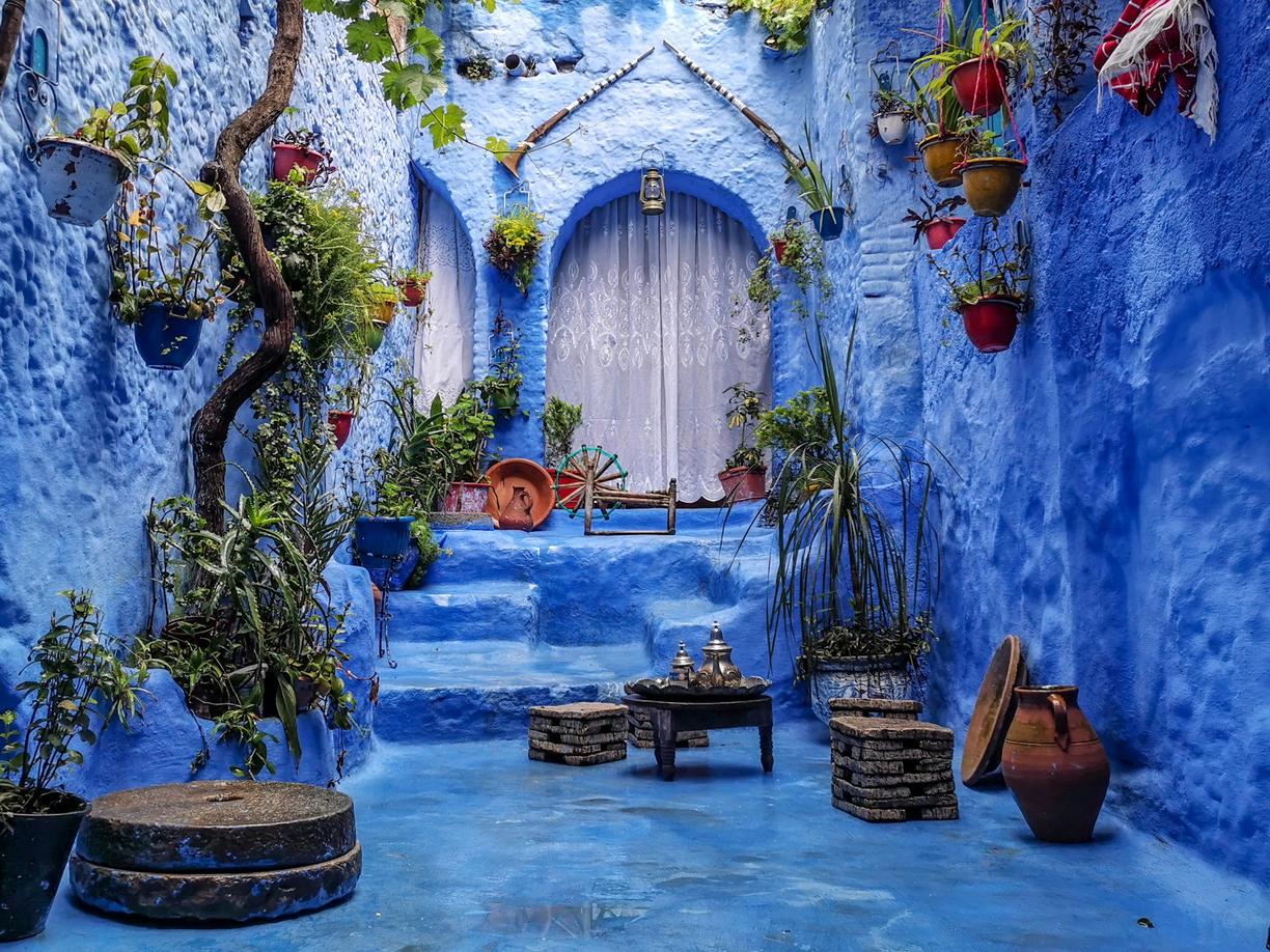 Malowniczy niebieski dziedziniec z roślinami w Chefchaouen, Maroko.