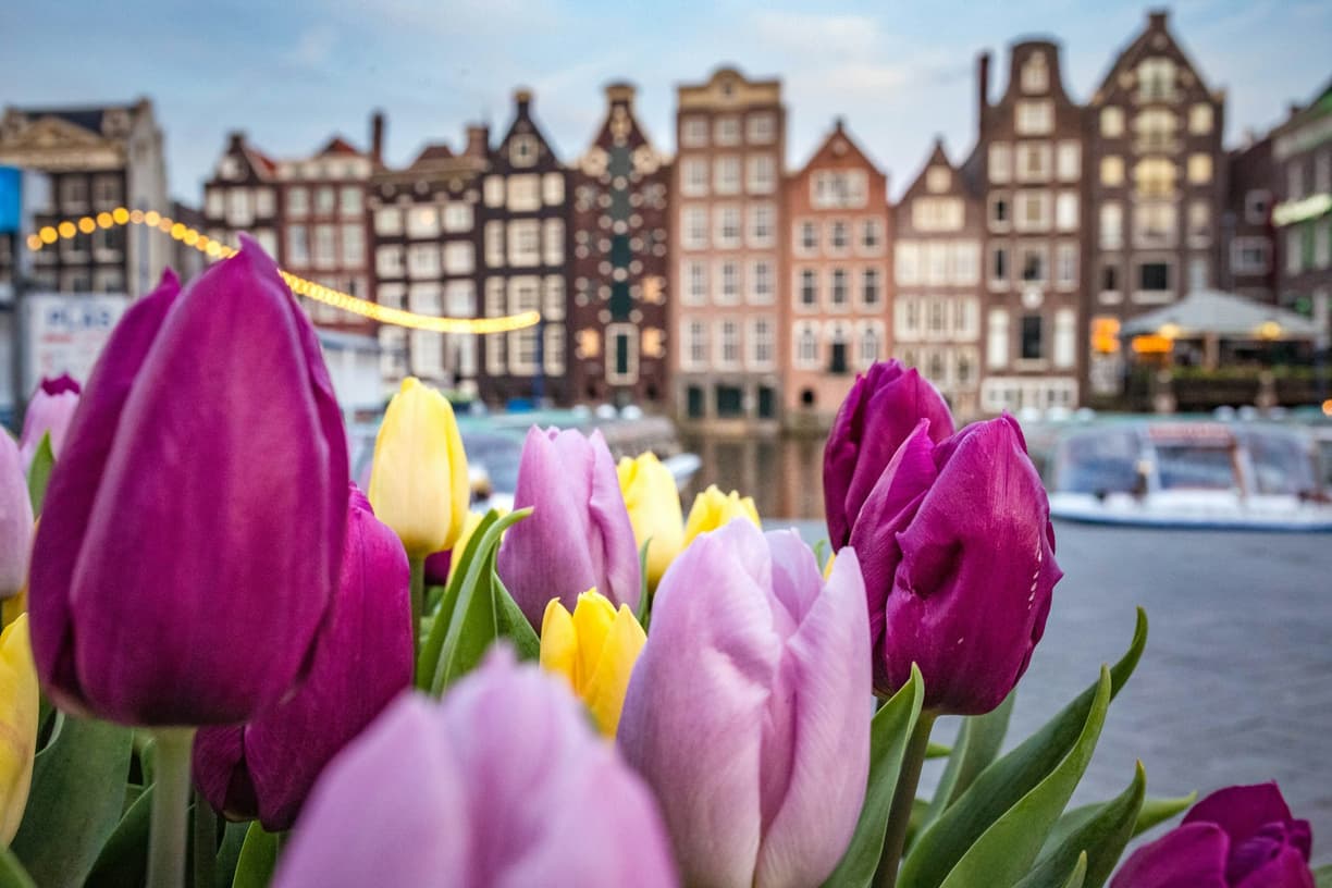 Nederlandy. Karta I amsterdam: Czy warto ją kupić? Analiza zniżek i oszczędności
