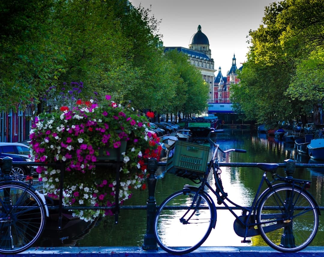 Piękny widok Amsterdamu z kanałami