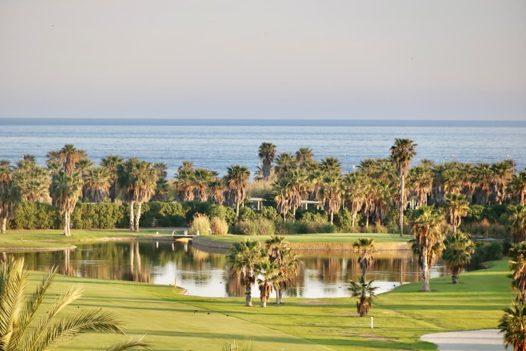 Pole golfowe w Hammamet, Tunezja