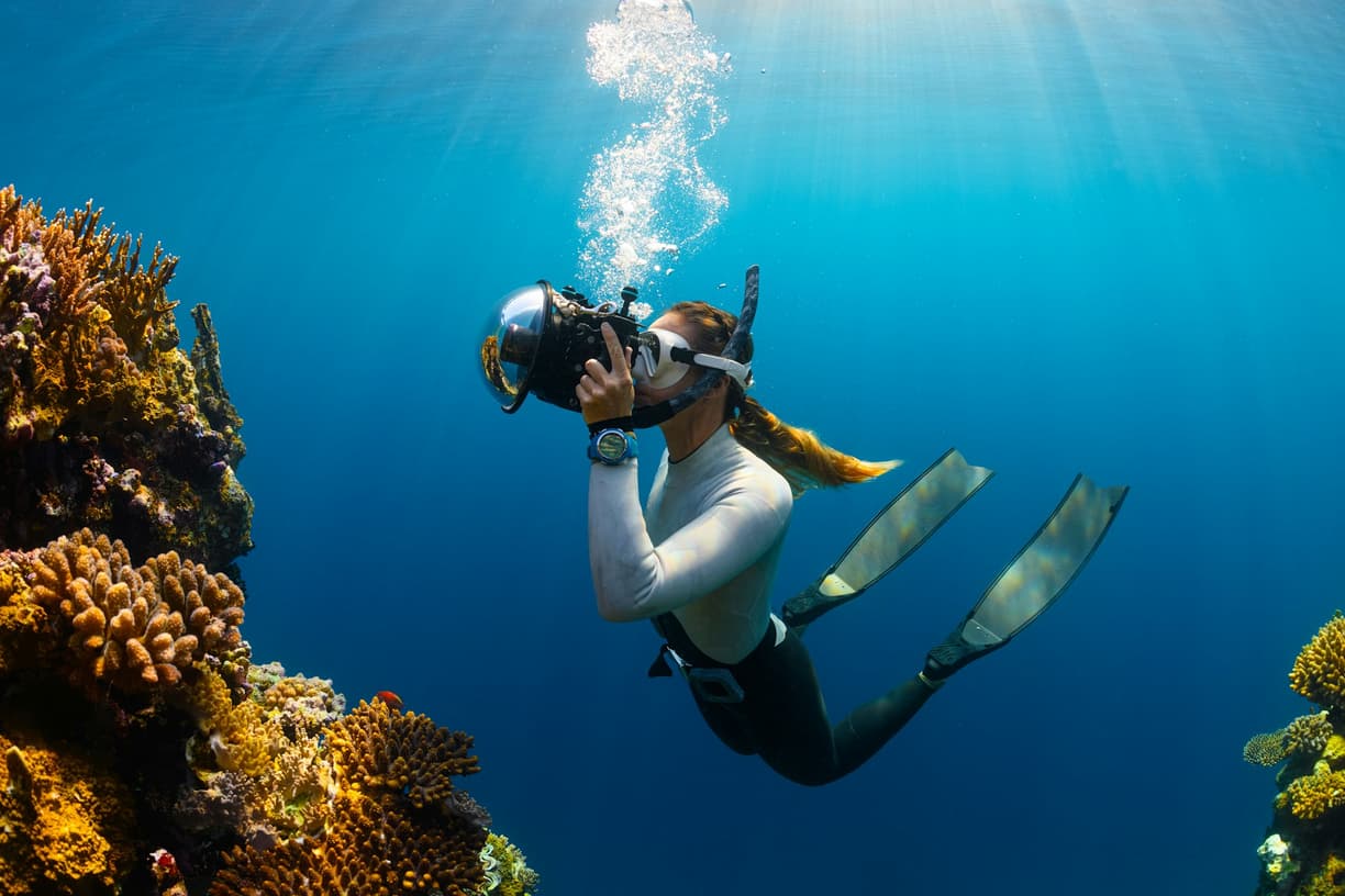 Meksyk. Nurkowanie i snorkeling na Cozumel: Podwodny świat rafy Palancar i innych cudów