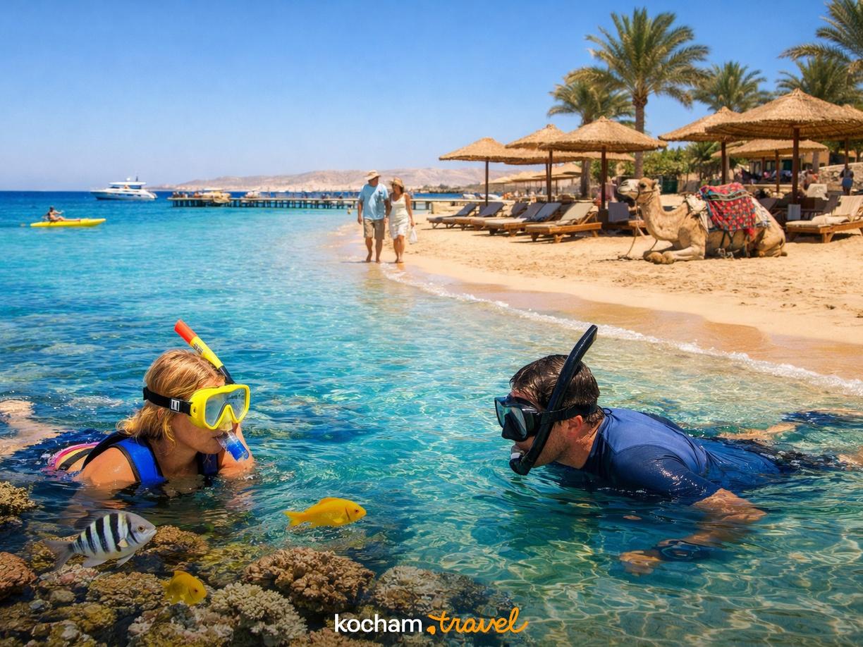 Co oprócz nurkowania? Snorkeling i inne atrakcje w Marsa Alam