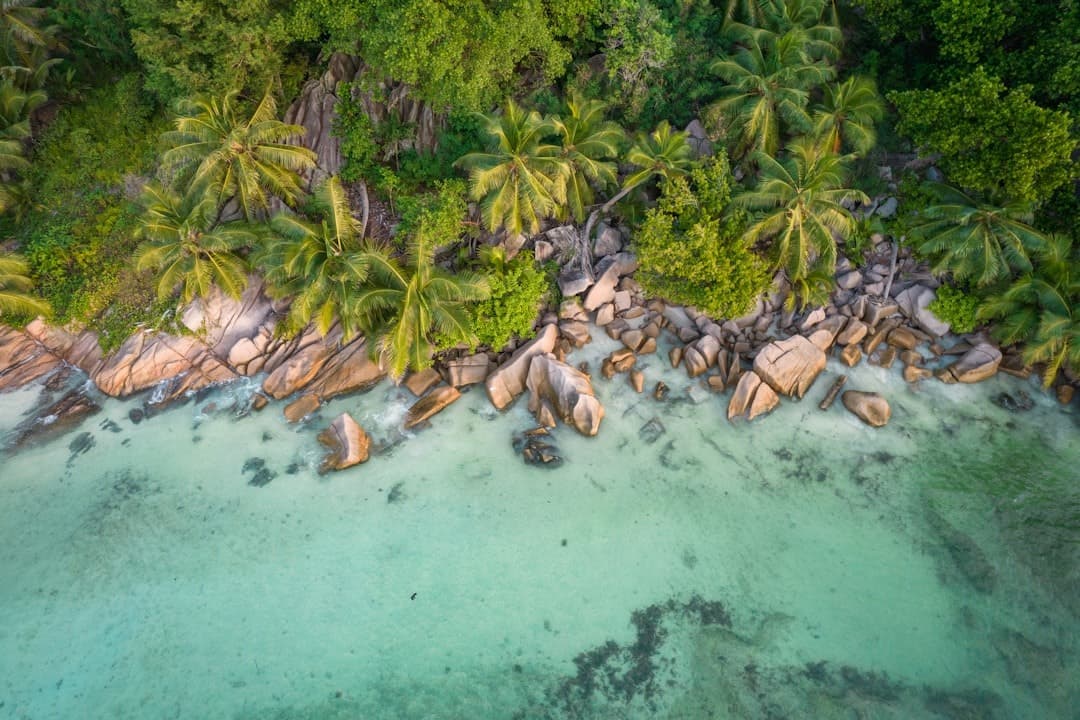 Tropikalna plaża z palmami, granitowymi skałami i turkusową wodą oceanu.