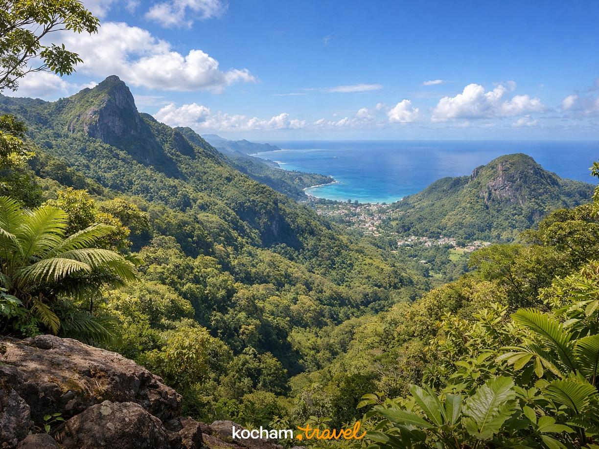 Dzień 2 - W głąb dżungli: Park Narodowy Morne Seychellois w Beau Vallon