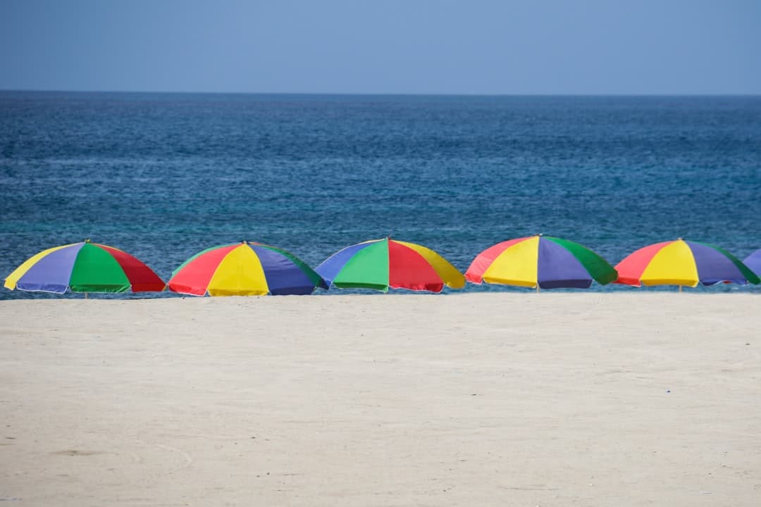Plaża w Bodrum z leżakami i parasolami