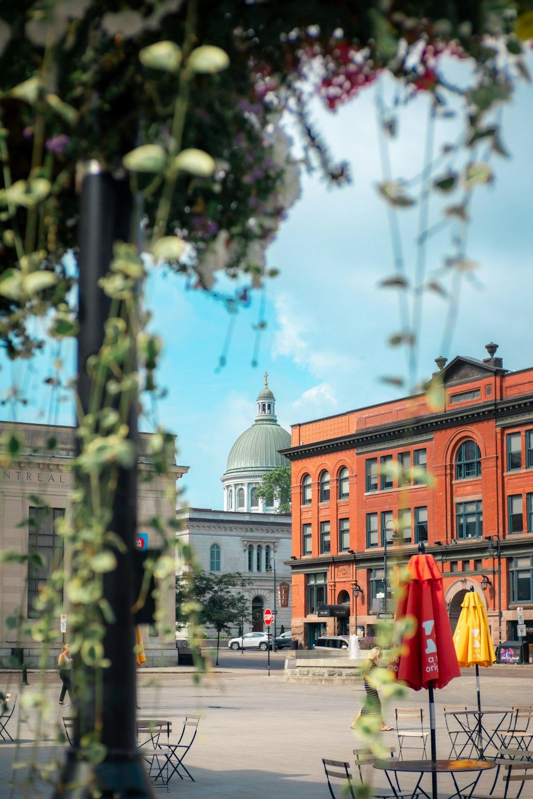 City Break w Kingston: Weekend w kulturalnym i muzycznym sercu Jamajki
