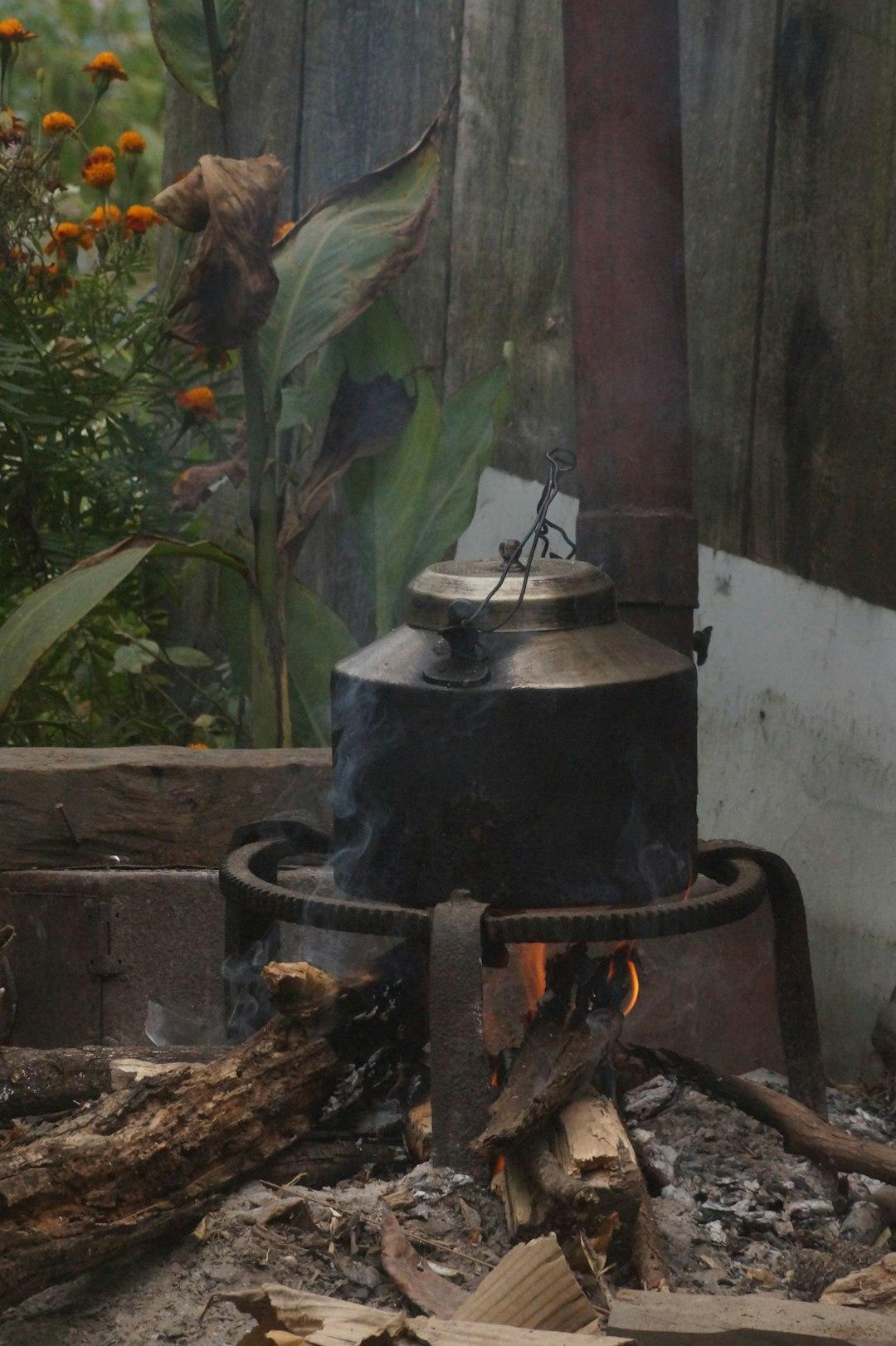 Tradycyjne jerk chicken grillowane na ogniu