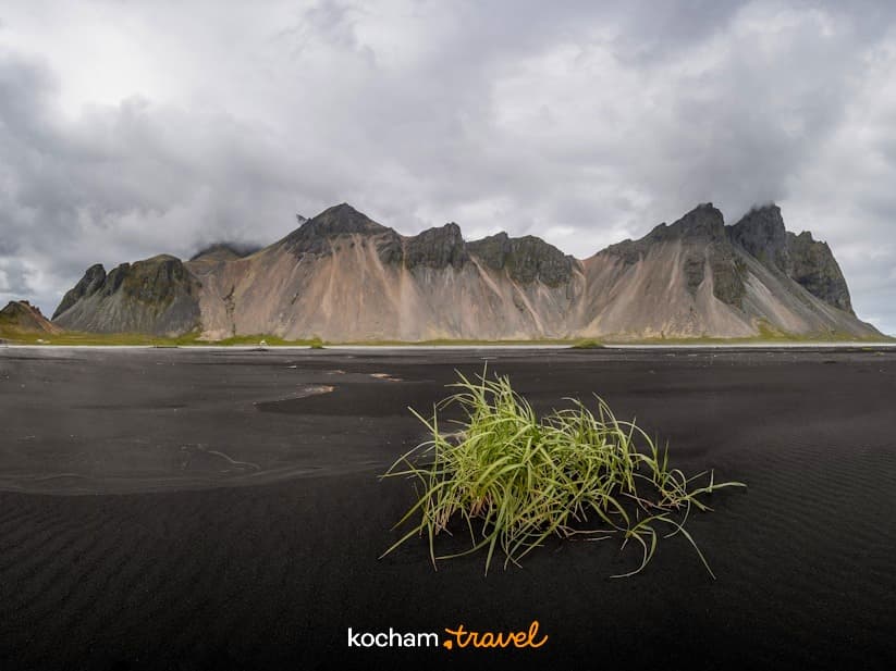 Panoramiczny widok Vestrahorn, czarnej plaży, zielonej trawy Islandii.
