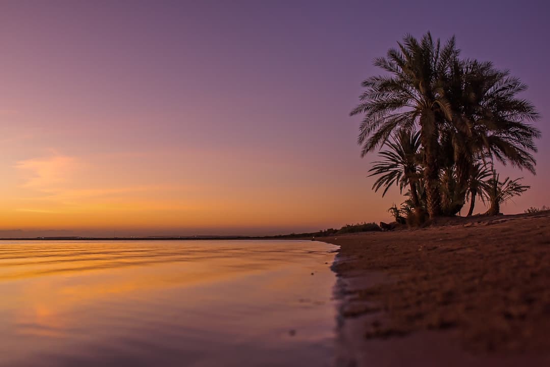 Piękny zachód słońca nad plażą w Hammamet