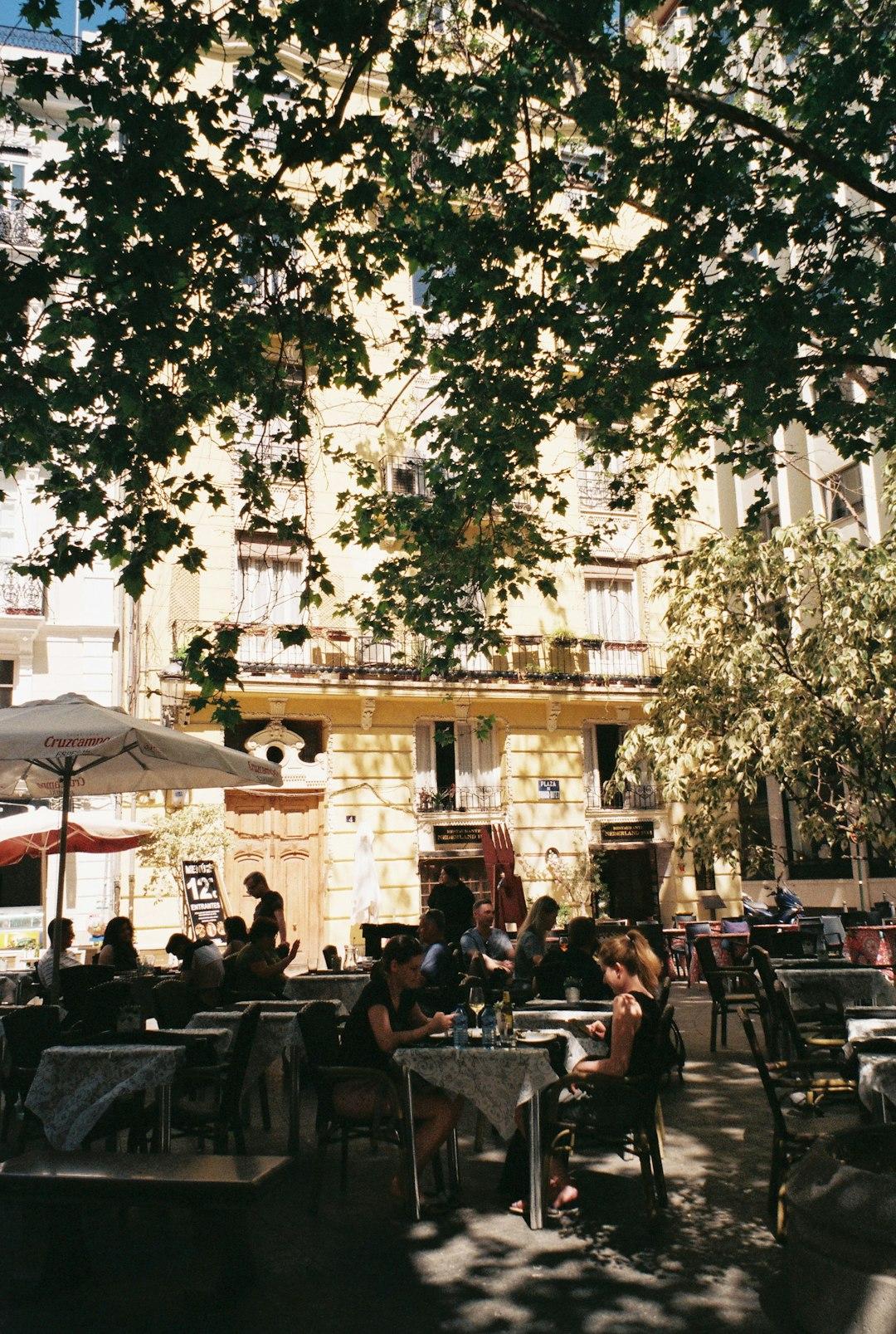 Letni taras restauracji z gośćmi, parasolami i zabytkową architekturą.