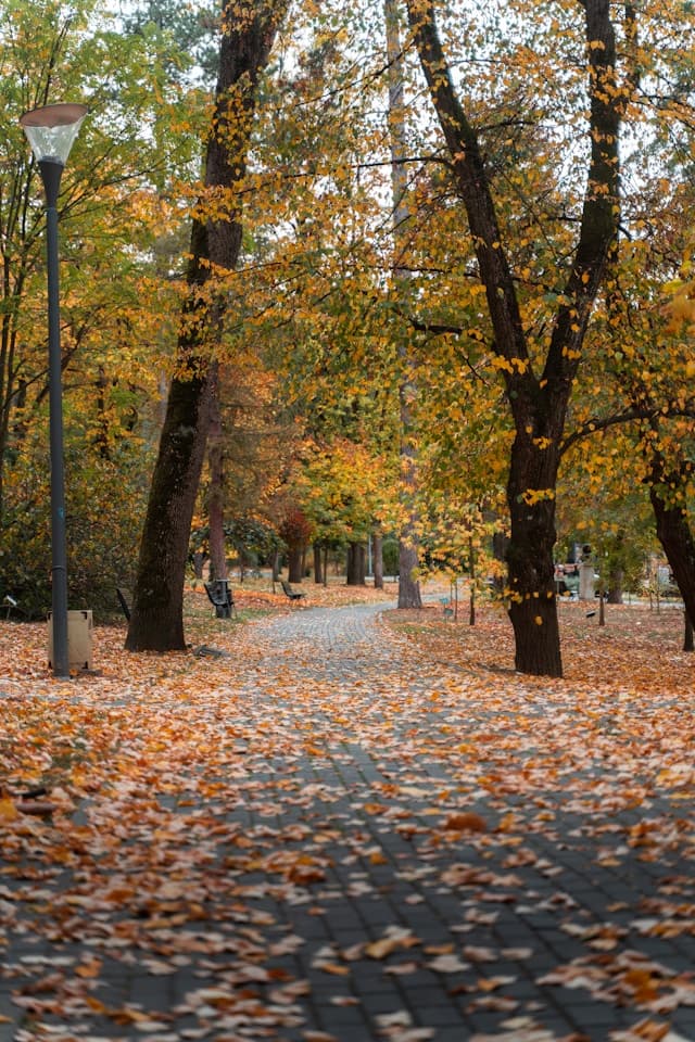 Widok na park Lužánky w Brnie