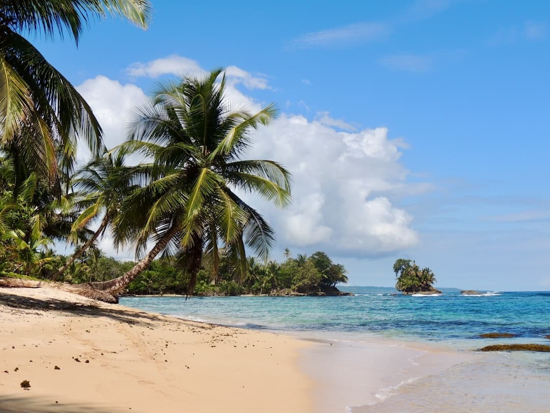 Tropikalna plaża jako inspiracja podróżnicza