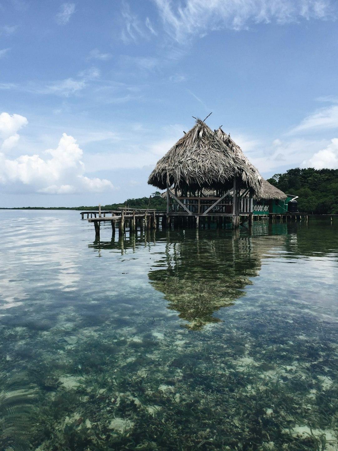 Nurkowanie w Bocas del Toro