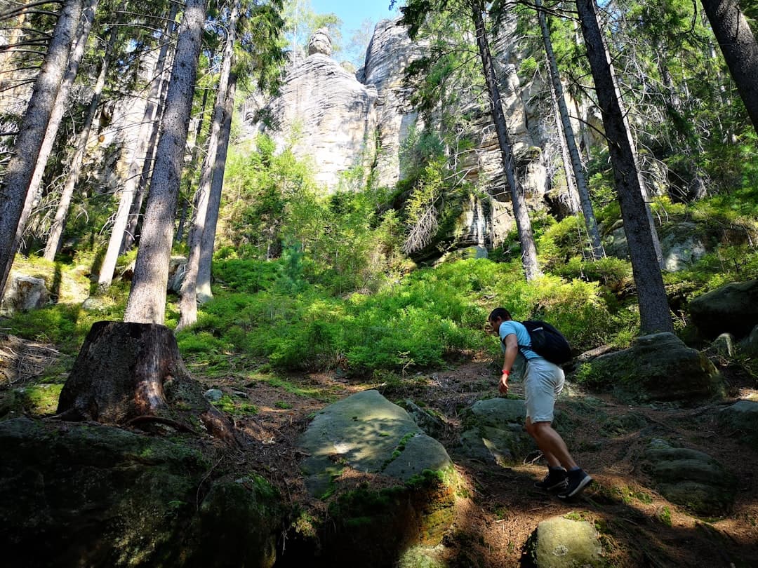 Aktywny wypoczynek w USA: Trekking w parkach narodowych, narty i sporty wodne