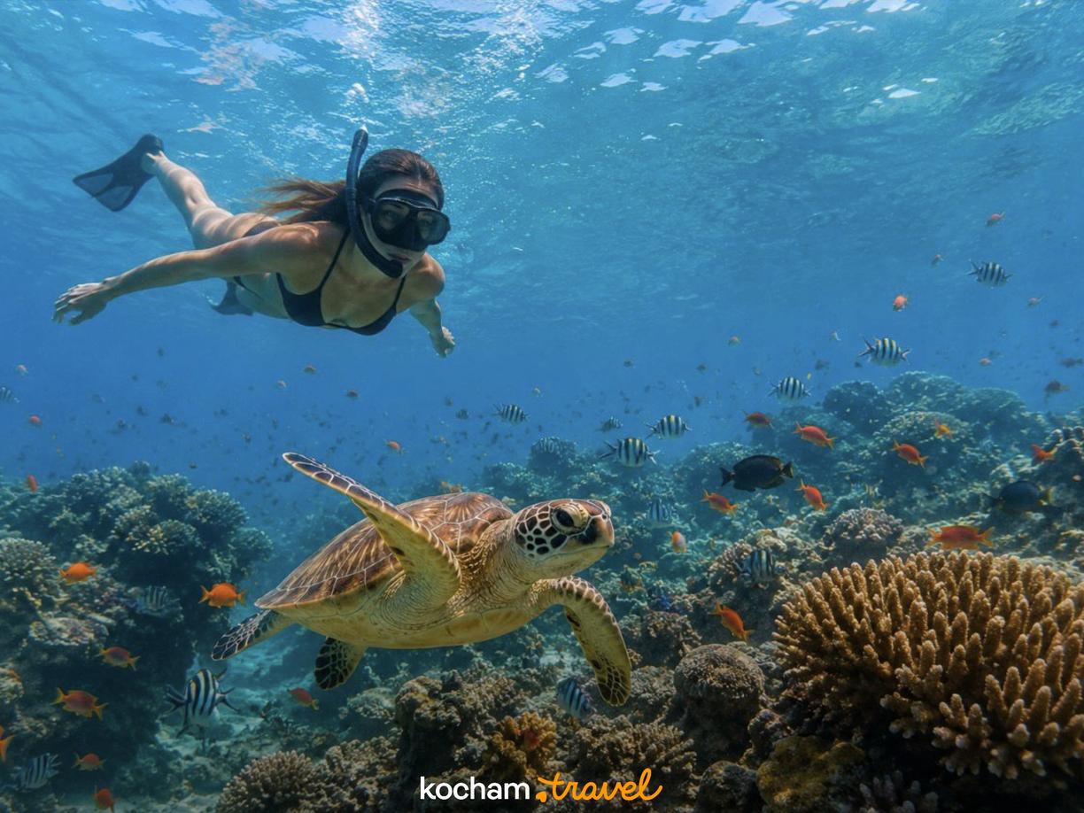 Kobieta snorkeluje z żółwiem morskim nad piękną rafą koralową.