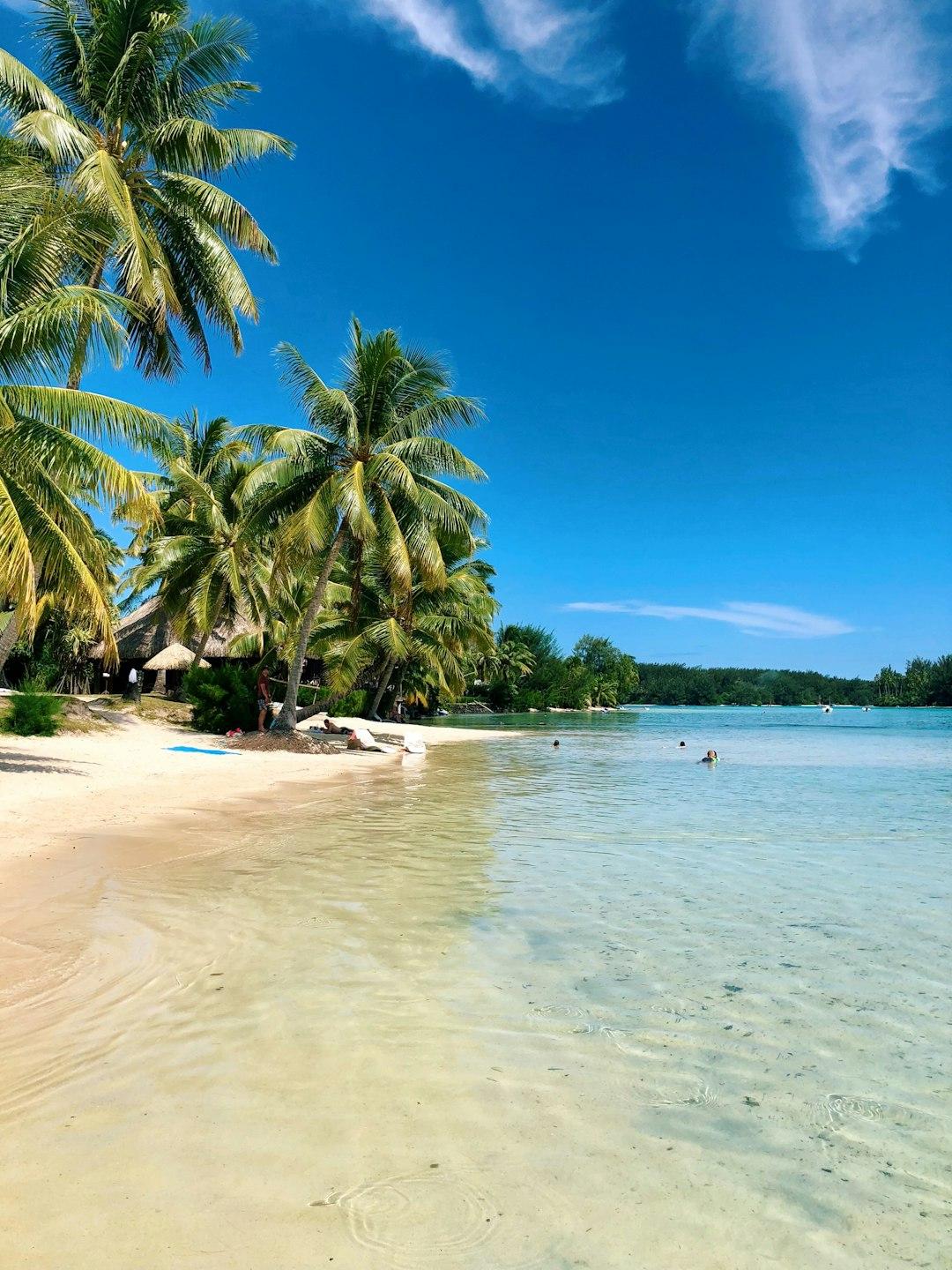 Rajska tropikalna plaża z palmami i krystalicznie czystą wodą.