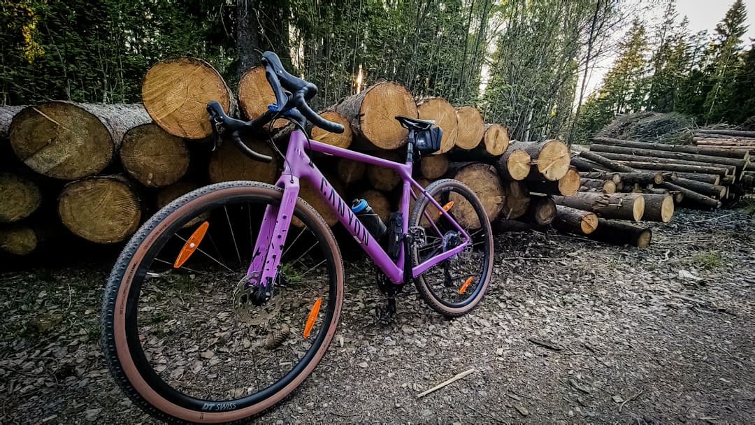 Szutrowa trasa rowerowa w bujnym lesie
