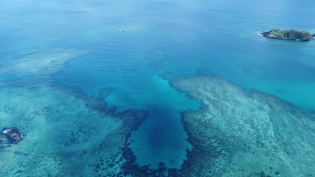 Krystalicznie czyste wody oceanu z rafami koralowymi i odległą wyspą.